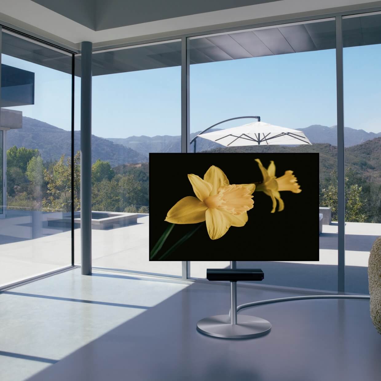 テレビスタンドはWALL～ A2 STAINLESS | EQUALS（イコールズ）